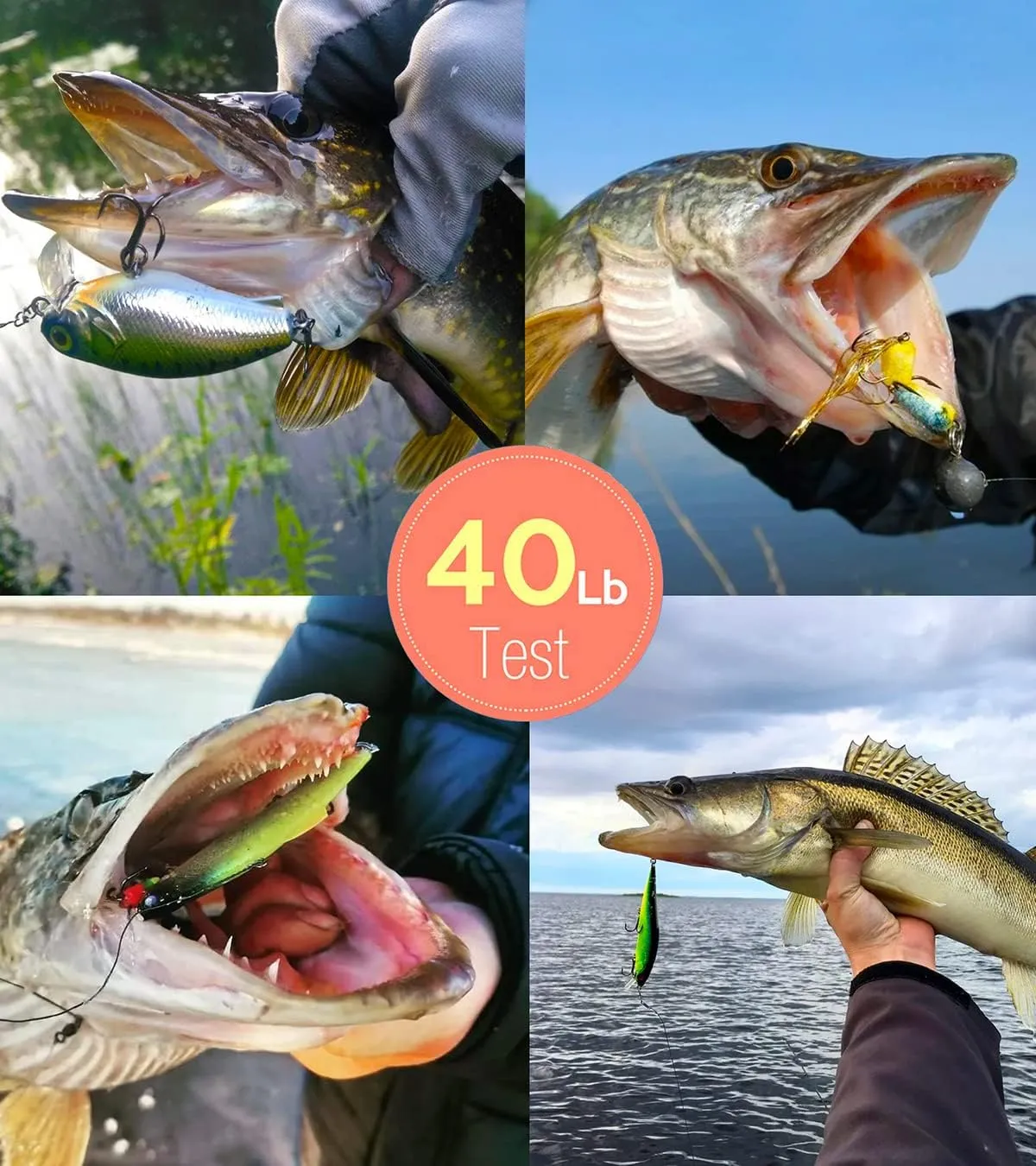 Fishing Leaders, Fish Line Stainless Steel Wire with Swivels Snap Connect Fishing Gear and Equipment Tackle Kit, for Lures Bait Rig Or Hooks, Fishing Gift
